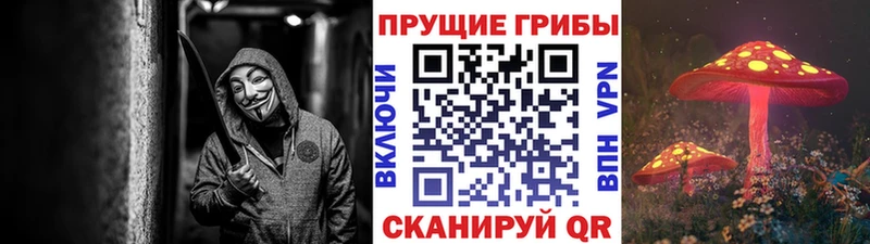 цены наркотик  Карасук  мега сайт  Галлюциногенные грибы мицелий 